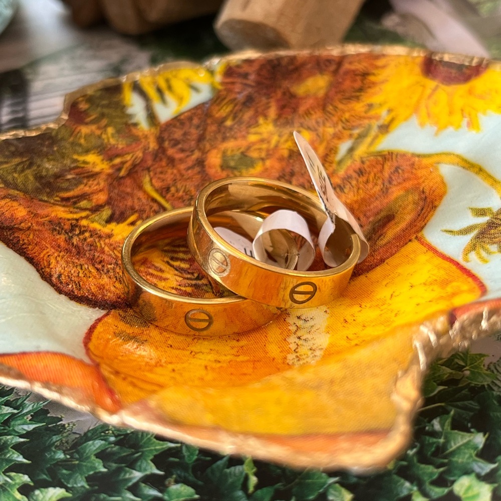 NWT Minus sign gold rings